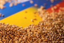 ۵ کشور اتحادیه اروپا خواستار تمدید ممنوعیت غلات اوکراین شدند