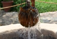 کاهش آبدهی 30 حلقه چاه آب شرب خراسان‌شمالی