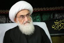 آیتالله نوری همدانی: امروز غزه، بوته آزمایش وجدان بشری است