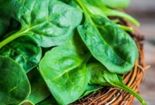 اسفناج از ابتلا به سرطان پیشگیری می‌کند