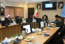 انتقاد آلهاشم از انتشار اخبار جعلی و خودکشی در برخی رسانهها