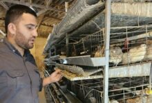 این طلبه از رُفتگری به کارآفرینی رسید