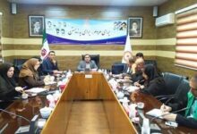 برگزاری کمیته نظارت و بیماری های واگیردار در بهزیستی استان سمنان