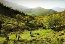 رفع تصرف ٣۶ هزار متر از اراضی ملی در حیات وحش سفید کوه ازنا