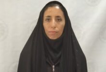 روایت کتابداری که با کاغذپارهها عاشق کتاب شد