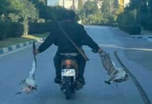 شکارچی جنجالی فضای مجازی دستگیر شد