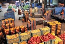 هشت میدان میوه و ترهبار سال آینده در کرمانشاه راهاندازی میشود