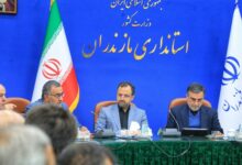 وزیر اقتصاد: برنامهای برای واردات برنج نداریم