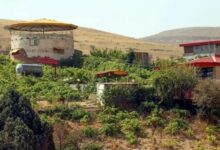 آزادسازی ۱۳۵0 مترمربع اراضی ملی از دست زمینخواران در تبریز