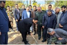 آغاز پویش «صبح زیتون» و طرح مردمی کاشت درخت در خراسانجنوبی