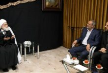 آیت‌الله نوری همدانی: صنعت بیمه از مشاغل خانگی حمایت کند