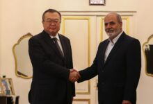 احمدیان: با تلاش همه جانبه منطقه‌ای و بین المللی ماشین جنگی رژیم صهیونیستی متوقف شود
