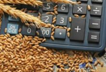 افزایش قیمت کالاهای اساسی در بازارهای جهانی