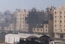 الجزیره: ارتش اسرائیل بیش از 100 فلسطینی را در شمال غزه به شهادت رساند