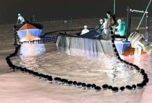 انتقاد از صید شب چراغی در سواحل جاسک +فیلم