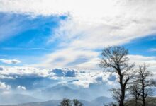 باران در برخی شهرها و یخبندان در 19 استان