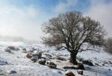 بارش برف در ایران از زاویه دید ماهوارهها + تصویر