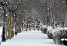 برف مناطق مرکزی و جنوبی استان اردبیل را سفید پوش می‌کند