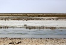 تالاب گاوخونی بازهم تشنه ماند