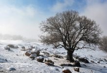 حال و هوای مازندران زمستانی شد