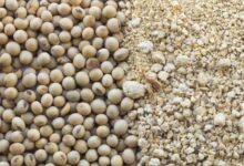 خبرهای خوب از سهولت در بارگیری و تحویل نهادهها