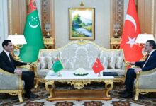 دیدار رئیس جمهور ترکمنستان با معاون رئیس جمهور ترکیه
