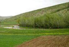 رفع تصرف 2182 هکتار از اراضی ملی استان خوزستان