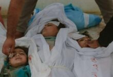 سازمان جهانی بهداشت: بیمارستان الشفا غزه «حمام خون» است