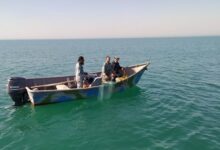 صیادان غیرمجاز در خلیج گرگان دستگیر شدند