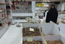 فراز و فرودهای زندگی یک بانوی کارآفرین کرمانی