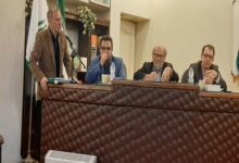مدیرعامل اتحادیه سندیکای کارخانه‌های چای شمال کشور: وزارت جهاد به مهمانان خود چای خارجی هدیه کرد!