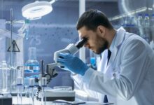 مدیریت دانش از طریق شرکتهای دانشبنیان در دستور کار دولت