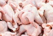 مرغ و گوشت مورد نیاز در همدان تأمین شده است