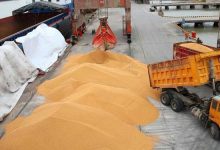 نرخ محاسباتی ارز واردات کالای اساسی و دارو 31 هزار تومان