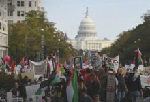 هاآرتص: ۶۹۴ هزار آمریکایی در حمایت از فلسطین تظاهرات کردهاند