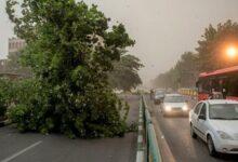هشدار وزش باد شدید در استان تهران
