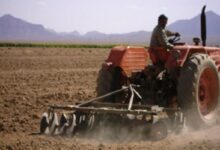 وجود ۳۰۰ هزار تراکتور فرسوده بالای 13 سال در کشور