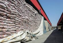 وزارت جهاد کشاورزی: پارسال 1.8 میلیون تن برنج وارداتی با ارز نیمایی وارد شد