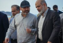 وزیر کشور در بوموسی: همسایگان با سخنان واهی روابطشان با ایران را خدشه دار نکنند