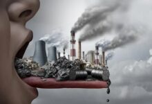 پیشنهاد طب سنتی برای کاهش عوارض آلودگی هوا
