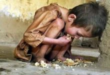 چراغ امنیت غذایی در جهان قرمز شد