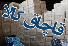 کشف یک انبار دارو  غیر مجاز در فسا