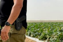 گسیل 15 هزار سرباز به بخش کشاورزی اسرائیل با بحران کمبود نیروی کار