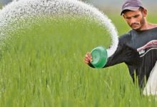 یک درصد کودهای کشاورزی زیرپله‌ای عرضه می‌شود