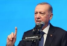 اردوغان: اسرائیل از فاش شدن شبکه اطلاعاتی‌اش در ترکیه برآشفت