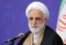 اژهای: با عناصر سازمانیافته ناهنجاری با تیغ عدالت برخورد شود