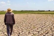 تالاب خانمیرزا در مسیر مرگ خاموش