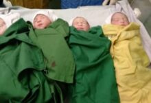 تولد یک چهارقلوی دیگر در کرمان
