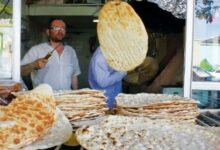 تکلیف مجلس به سازمان هدفمندی برای تامین یارانه نان و دارو