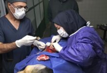 جراحی بازسازی تراشه سگ، برای نخستین‌بار در ایران توسط پزشکان کرمانشاهی